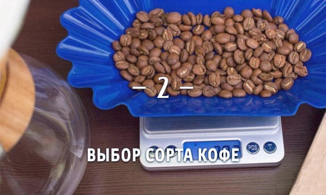 Выбор сорта кофе