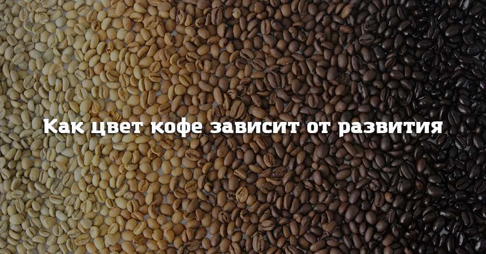 Как цвет кофе зависит от развития